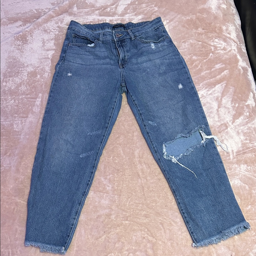 Sincerely Jules Blue Distressed Ankle Jeans